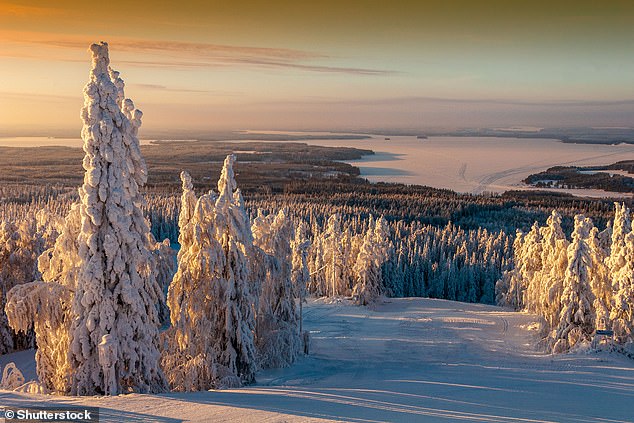 Perhaps the most important part of the day, travellers will ride on a skidoo through woodland to meet Father Christmas