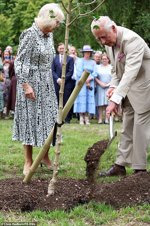 King Charles and Queen Camilla plant a tree during a visit to The National Stud in Newmarket