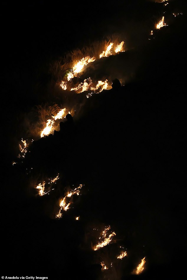 Flames and thick smoke rise into the sky as wildfires ravaged the forested hills of Castelluzzo, a hamlet of San Vito Lo Capo in Italy's Trapani province, on July 21, 2025