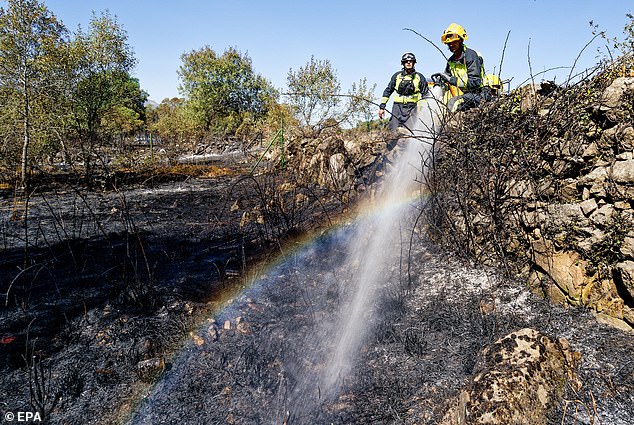 Firefighters work to extinguish a fire in Navaluenga, Avila, central Spain, 19 July 2025