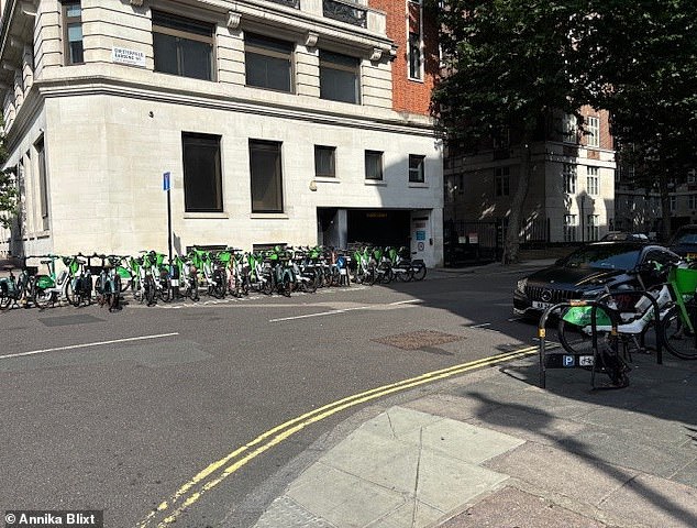 It is just one of the e-bike parking bays in the capital said to be causing chaos