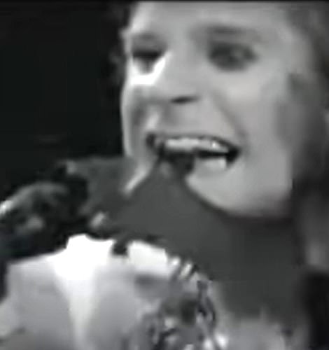 Osbourne infamously bit the head off a bat during a performance in Iowa in 1982