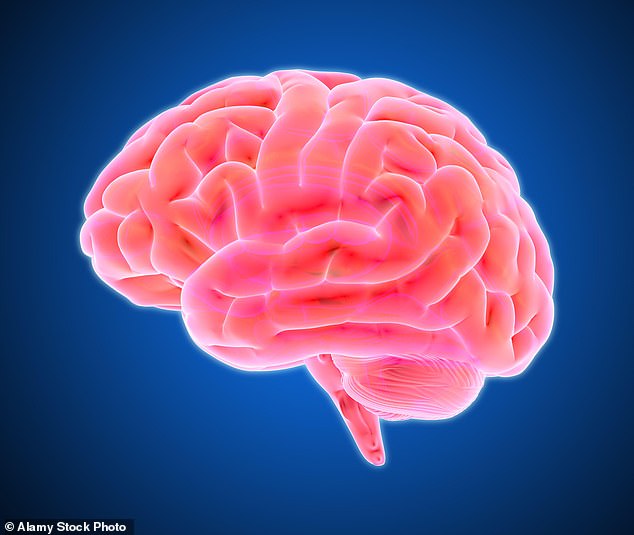 The findings emerged from a brain ageing model created using data from 15,334 healthy people (Stock Image)