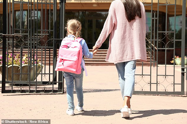 Molly's post has opened up debate about the differences between UK and US school systems (stock image)