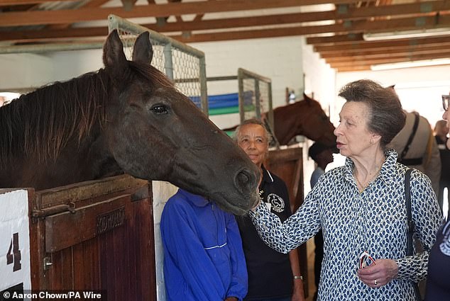 The royal, a skilled horsewoman who competed in the 1976 Montreal Olympics , was going for a walk when the incident occurred. Pictured in January