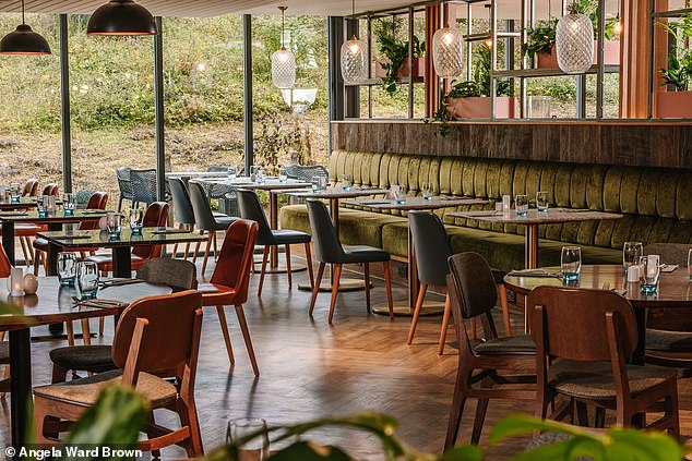 It's Kitchen 21 offers a ‘a modern take on traditional British cuisine'