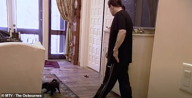 The show shone a light on the chaotic Osbourne household and the daily struggles - which included their dogs pooing on the floor (pictured)
