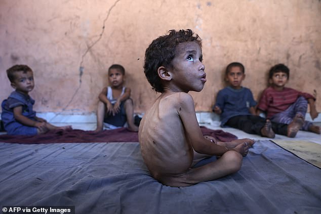 Israel has been accused of violating international law in Gaza, with 28 countries calling for it to allow more aid into the occupied territory (pictured: a child at a refugee camp in Gaza City)