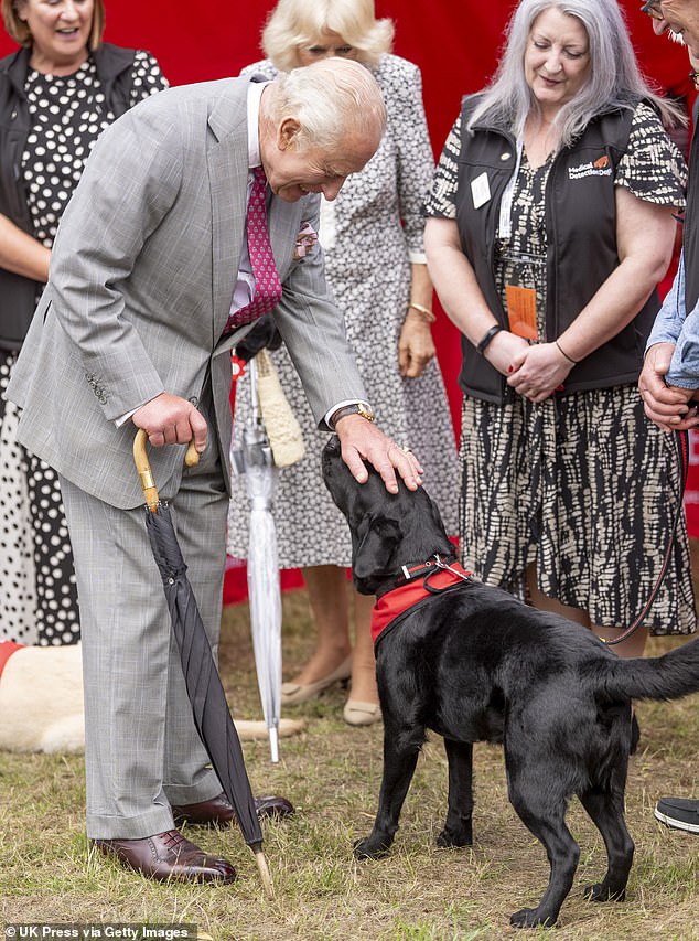 King Charles III pets a dog during a visit to the Sandringham Flower Show 2025