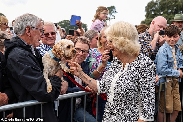Queen Camilla meeting a dog and their owner during a visit to the Sandringham Flower Show
