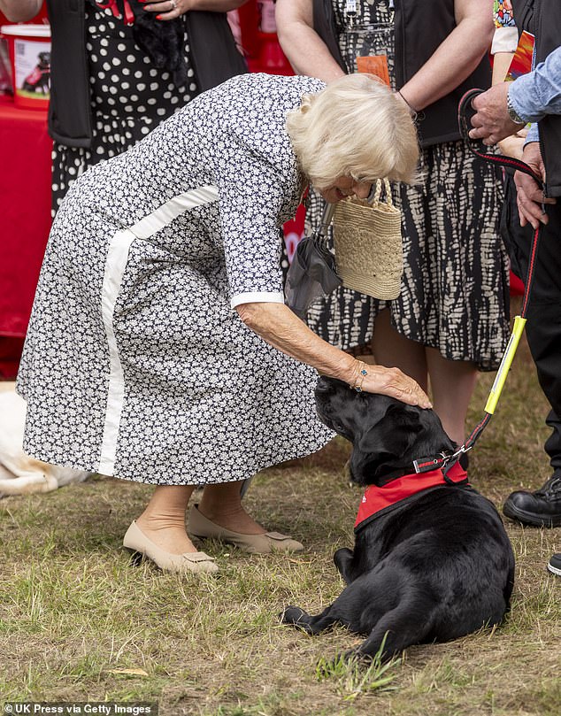The couple also popped into stalls run by the Cat's Protection League, St John's Ambulance and Medical Detection Dogs, of which the Queen is Patron