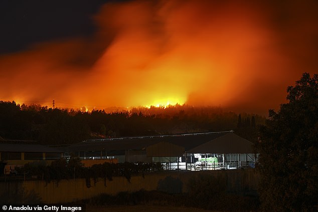 The fire quickly engulfed dense pine forests known for spreading flames through flying embers, leaving firefighters little room to maneuver