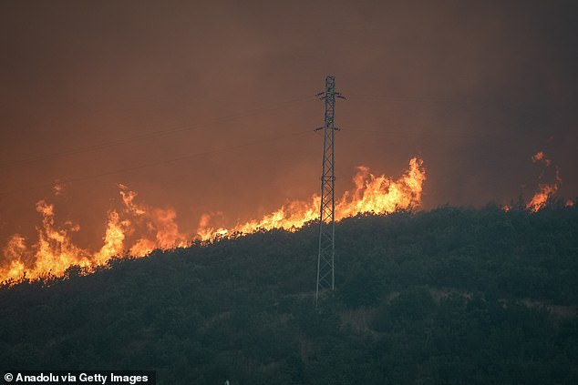Initial investigations suggest a power line malfunction may have sparked the fire, although arson has not been ruled out