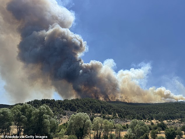 At least 24 firefighters were reportedly trapped in the fire when the wind suddenly changed direction and blew flames towards them, Yumakli told reporters