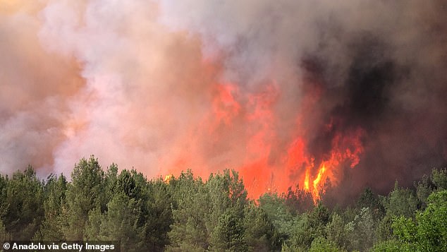 Firefighters and rescue teams have been battling since the early hours of Wednesday to contain a wildfire in Eskisehir's Seyitgazi district