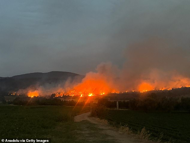 Despite aggressive aerial and ground efforts ¿ including 10 helicopters, 5 firefighting planes, and 30 fire trucks ¿ the unpredictable winds and dry conditions overwhelmed the response, resulting in a tragic loss of life