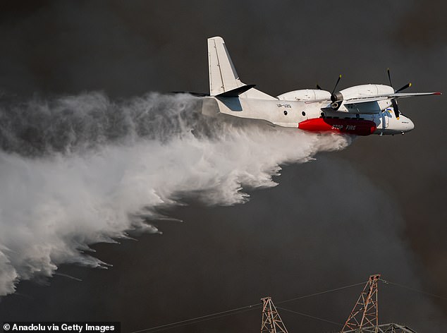 Authorities have now launched a thorough investigation, analysing satellite data and on-the-ground evidence