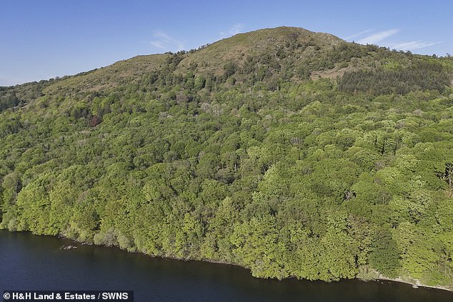 The land is described as perfect for nature conservation, quiet enjoyment, and 'long-term stewardship'