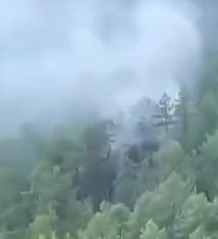 Videos shared on Telegram by emergency workers riding in rescue helicopters showed the smouldering ruins of the plane scattered amid the trees