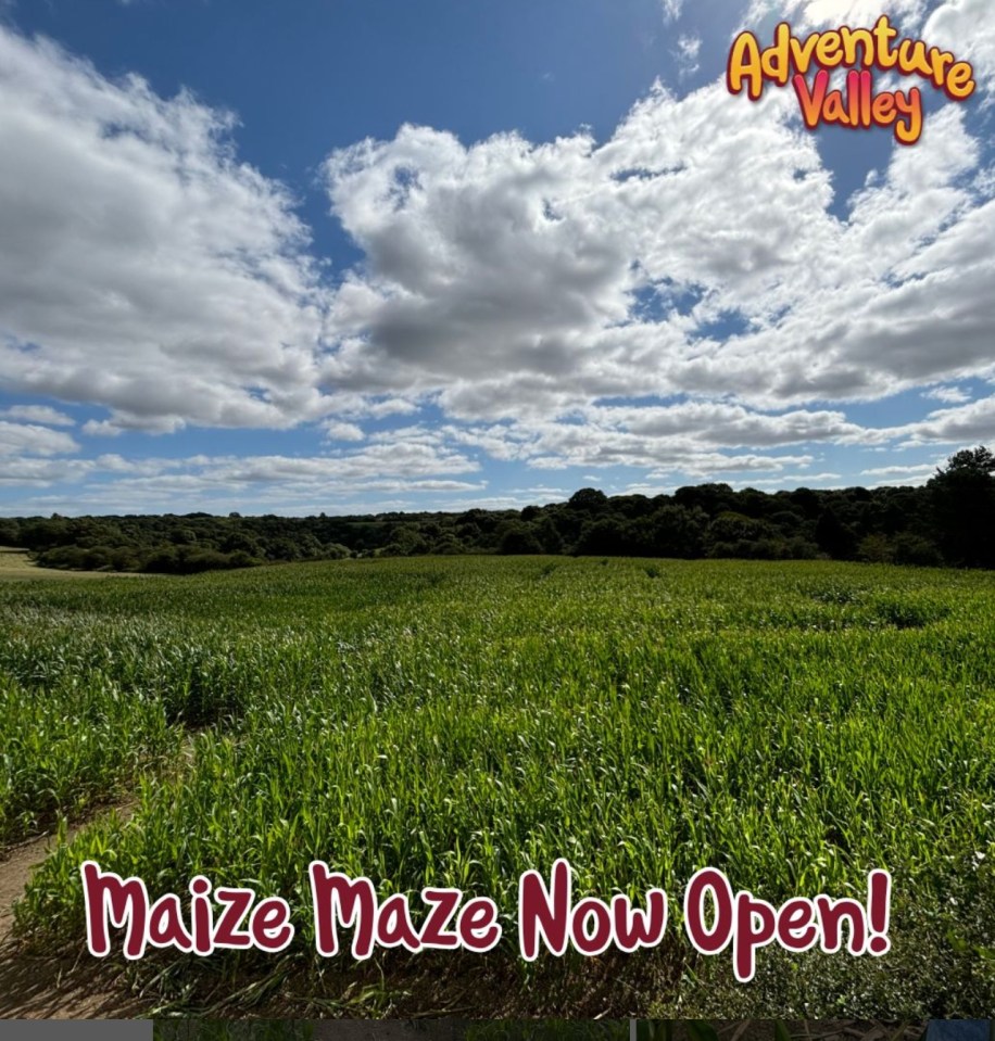 Adventure Valley maize maze now open.
