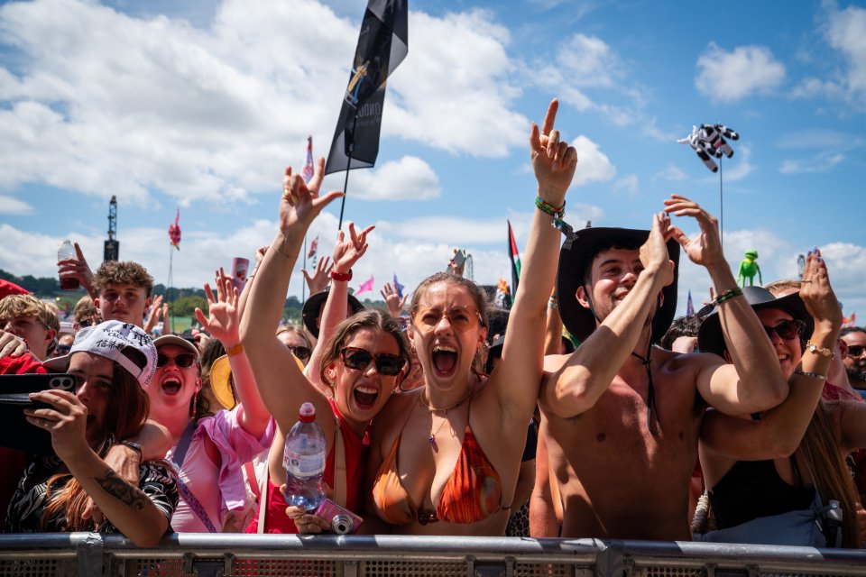 Music fans at an outdoor concert.