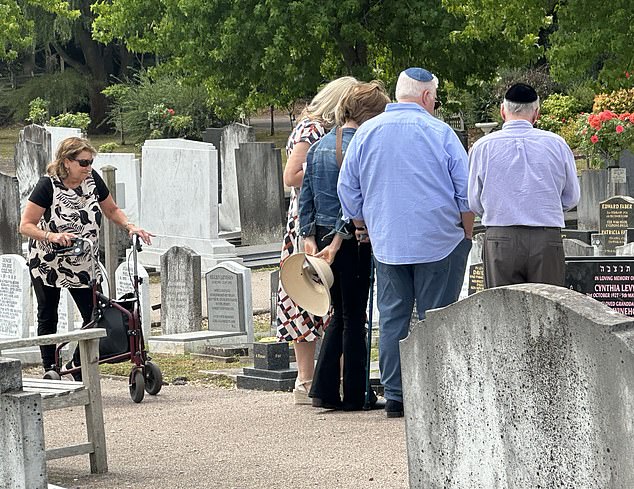 Amy, who is buried with her grandmother Cynthia Levy, is said to have been subject to nine interventions led by parents about her boozy lifestyle
