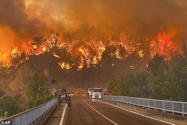 A wildfire rages across a forested area near Cavuslar village, in Karabuk district, northwest Turkey on July 23