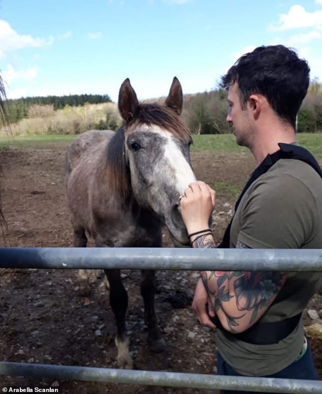 Harry is pictured with a shoulder strap on as he strokes a horse after the alleged attack