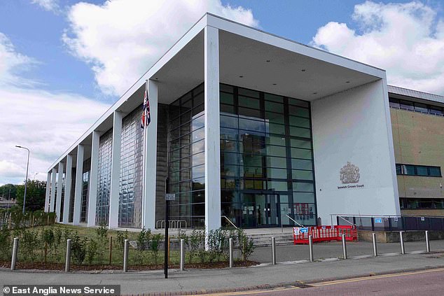 Patricia Jepson was pushing along a shopping trolley outside the supermarket in Colchester when Colin Kirby-Green reversed into her, Ipswich Crown Court (pictured) has heard