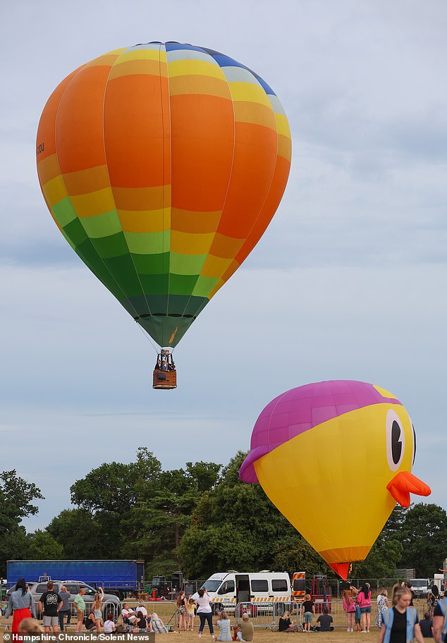 Other attendees to the Romsey event (pictured) said that the name of the festival had been deceptive, with there a 'huge feeling of being ripped off' as a result