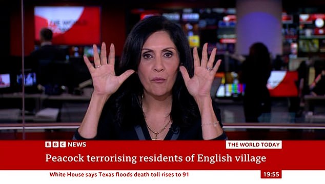 She prefaced the impression with: 'I've been told specifically from my producer to not do an impression of a peacock so I'm going to do it anyway'