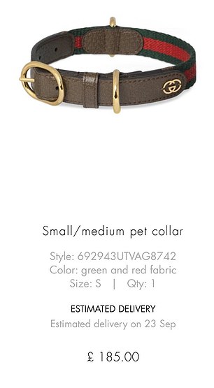 The expensive collar Mason ordered for her cat