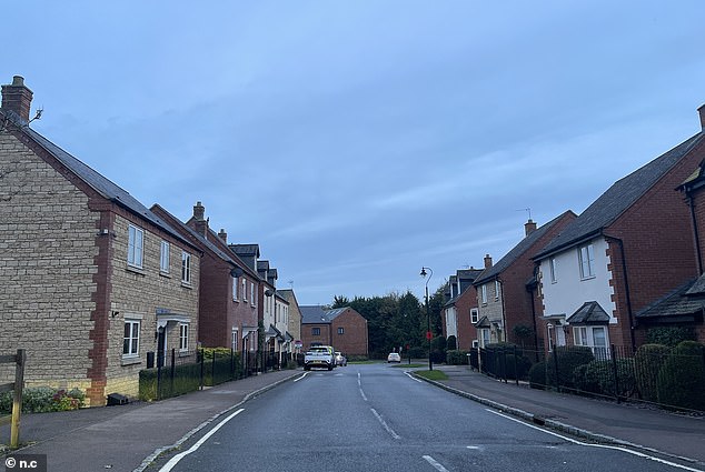 Those living in the village would regularly see her out walking her Dachshund and terrier dogs or driving her £30,000 Jaguar