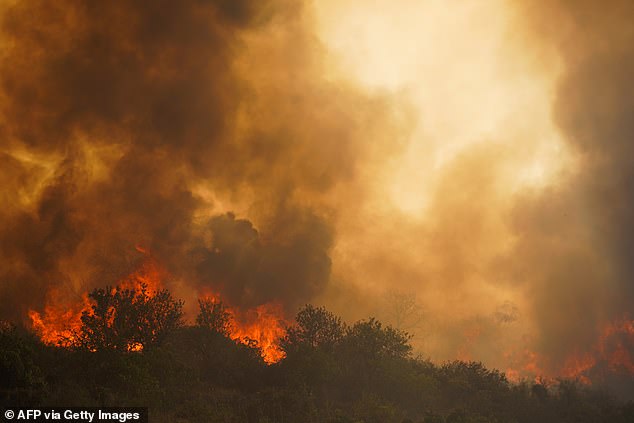 Ben says his son, Ethan was frightened after seeing all the fire as they escaped
