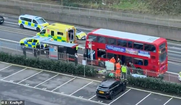 The 14-year-old boy died after being fatally stabbed on the London bus in Woolwich in January