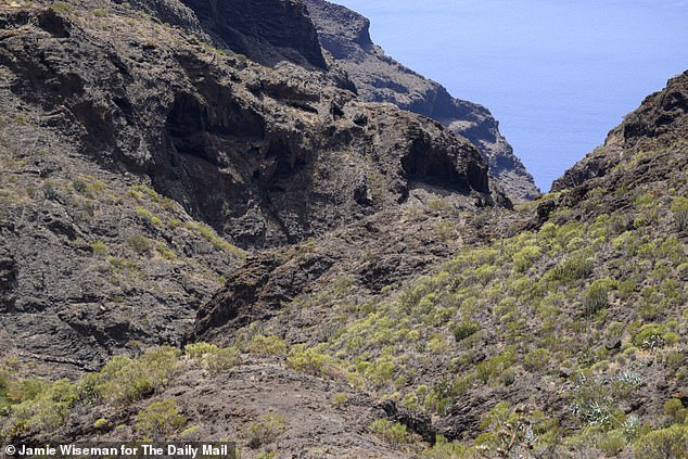 Pictured is a stretch of the treacherous ravine close to where Jay's body was found