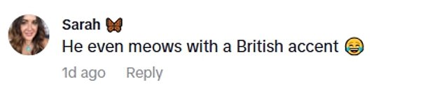 These TikTok captions show users are convinced the cat sounds British, and specifically Scouse