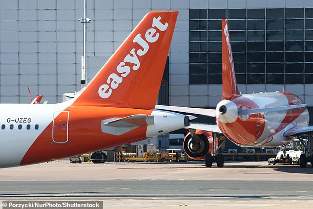 The crew member said it would help the passengers after sitting for a long time and also help him - as he urged them to straighten the safety cards as one of the movements (stock image)