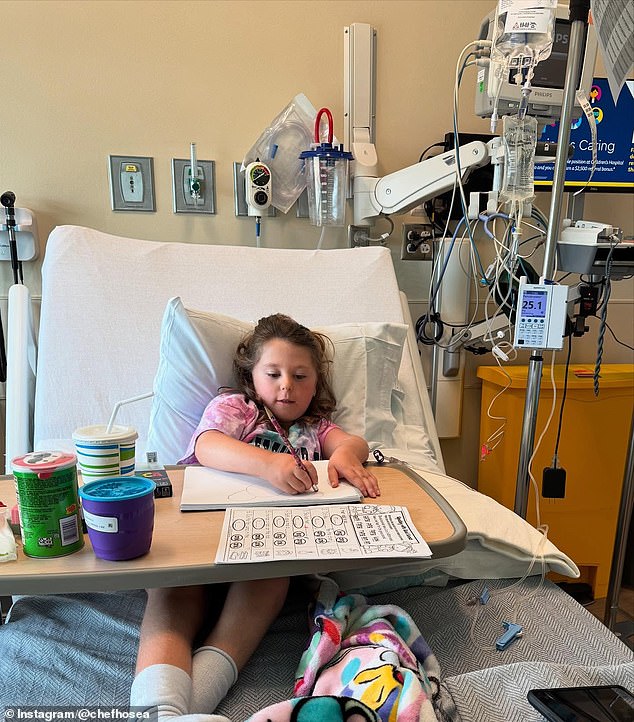 Sophia could be seen pictured in a hospital bed drawing and playing with her two pug dogs. Other photos showed her on a beach with a friend