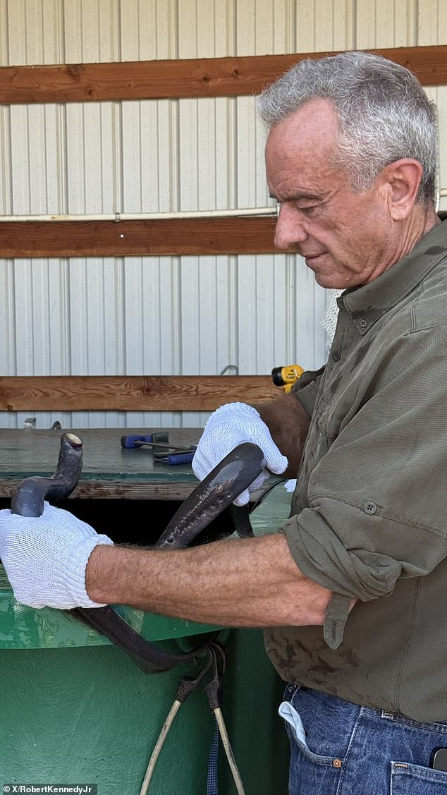 RFK Jr held multiple 2-foot-long lampreys during his Thursday visit to Idaho, where he promoted the health and well-being of tribal communities