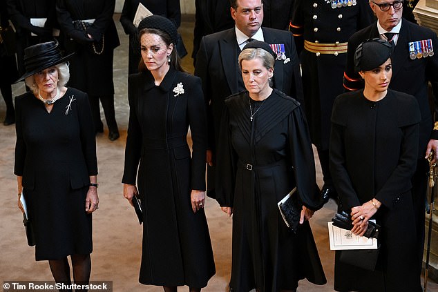 And a former aide of Sophie told the Telegraph that she 'is made for the role of mediator'