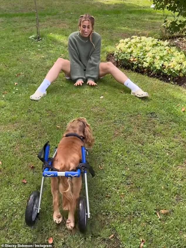 She explained in a heartfelt Instagram post that the hound was nervous to begin with but has now settled into to his new way of life