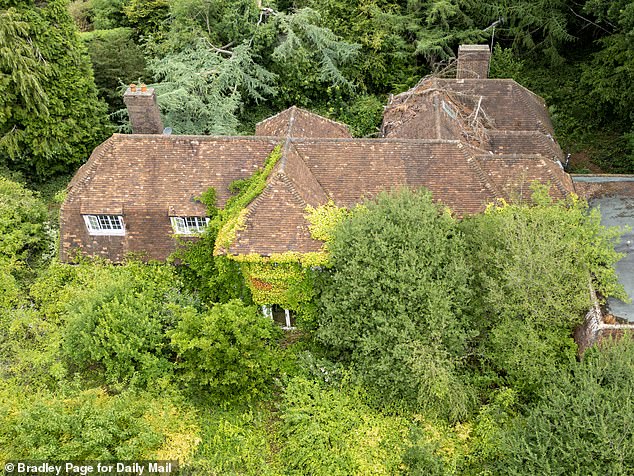 The once grand family home has now been almost overtaken by shrubs