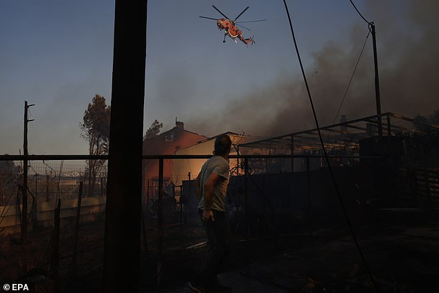 The hot, dry, windy conditions 'are expected to prevail over the coming days', he continued. Pictured: Wildfire in Kryoneri on Saturday