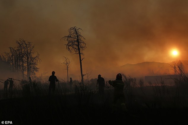 Of the fire in Athens (pictured), Mr Vathrakoyannis said: 'There have been reports of damages. We will take stock when the fires have been put out'