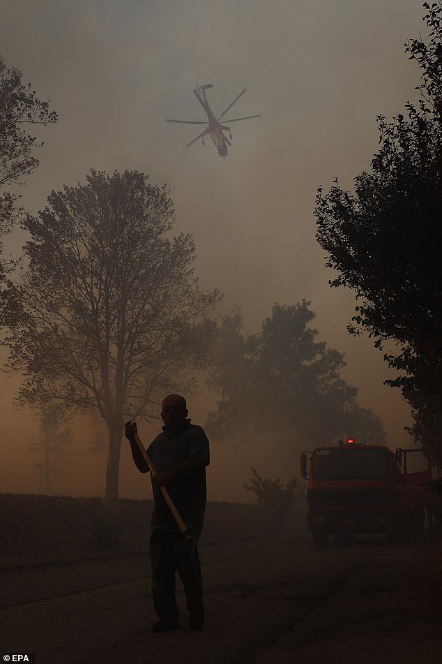 The exact origin of the fire (pictured) is unknown - but temperatures reaching or exceeding 38C, dry conditions and high winds have been said to be fanning the flames