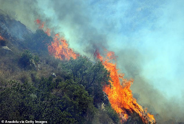Sicily's Forestry Corps and Civil Protection workers were engaged to extinguish the fires, with six water-dropping aircraft drafted in to control the flames. Pictured: Firefighting efforts from the air for the forest fire on Sicily last Sunday