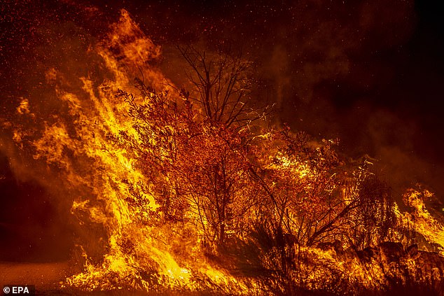 Firefighters managed to extinguish or control several blazes last weekend weekend but arid conditions sparked two fresh fires near the tourist hotspot of Malaga. Pictured: Wildfire in Galicia, Spain, on July 23