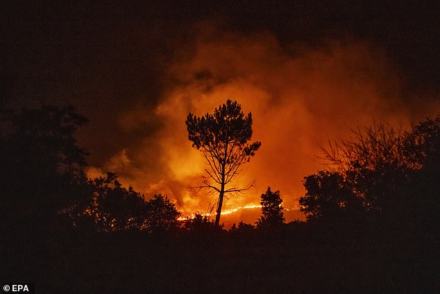 One punishing fire was recorded threatening the main entrance of the Andalucia Technology Park (PTA) in Campanillas, near Malaga city. Pictured: Wildfire in Galicia, Spain, on July 23