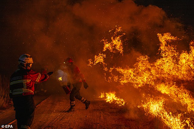 Meanwhile, Spain struggled to quell a series of wildfires that have already burned through more than 70,000 hectares of land in recent weeks. Pictured: Wildfire in Galicia, Spain, on July 23
